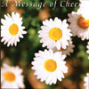 A Message of Cheer